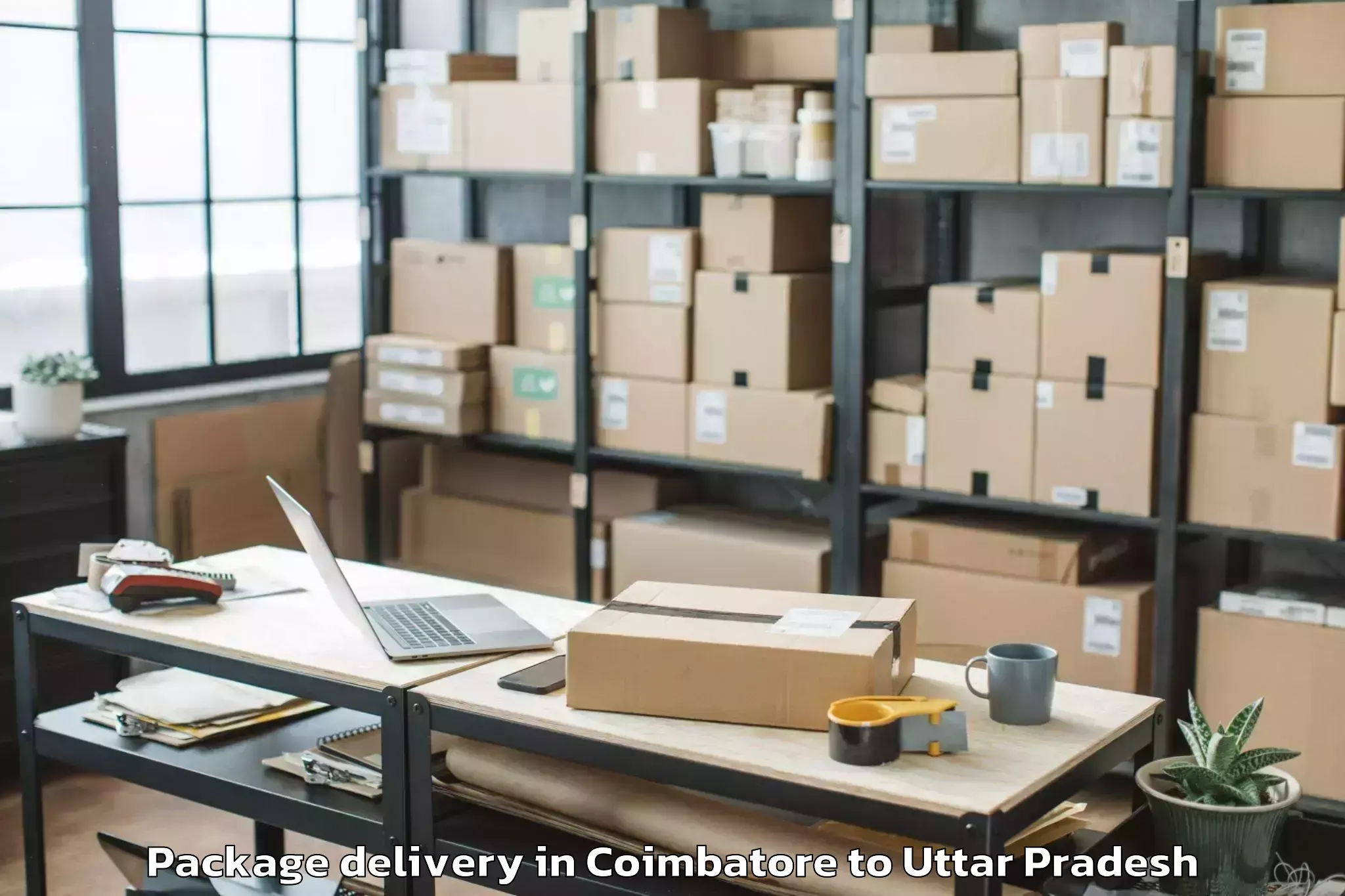 Hassle-Free Coimbatore to Talbahat Package Delivery